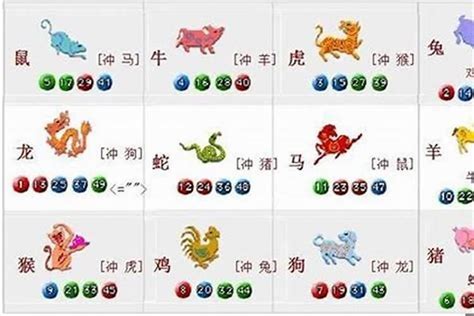 六害生肖|十二生肖里的3合、6合、6害、6沖分解